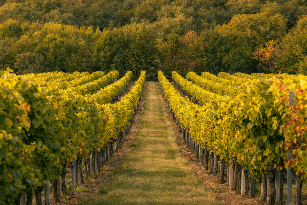 Séminaires - pourquoi les châteaux bordelais séduisent les entreprises